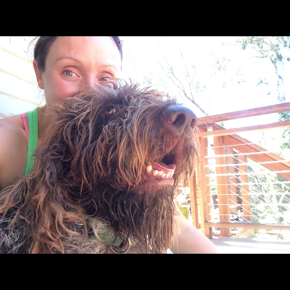 Meet your Posher, Noelle